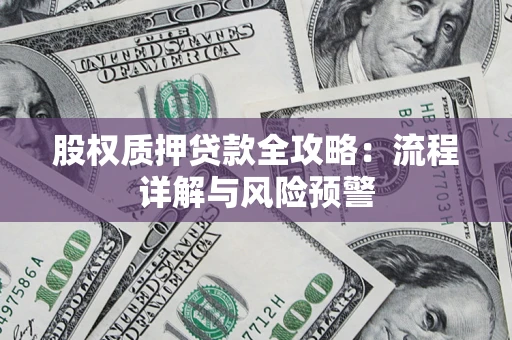 北京股权质押贷款全攻略：流程详解与风险预警