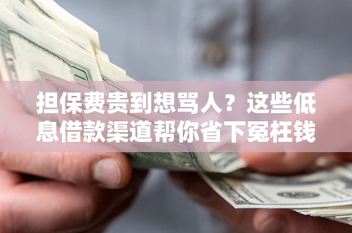 北京担保费贵到想骂人？这些低息借款渠道帮你省下冤枉钱