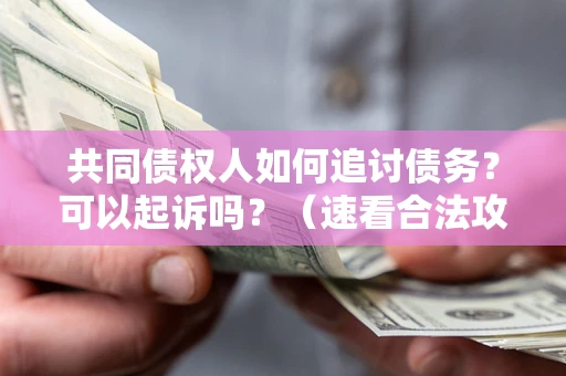 北京共同债权人如何追讨债务？可以起诉吗？（速看合法攻略）